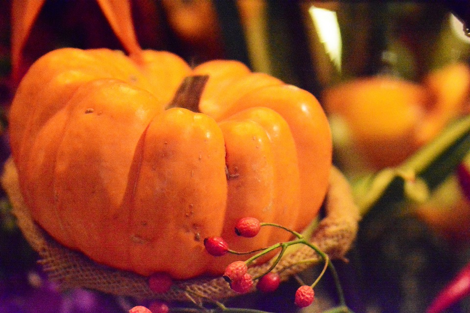 かぼちゃのソフトクッキーtop